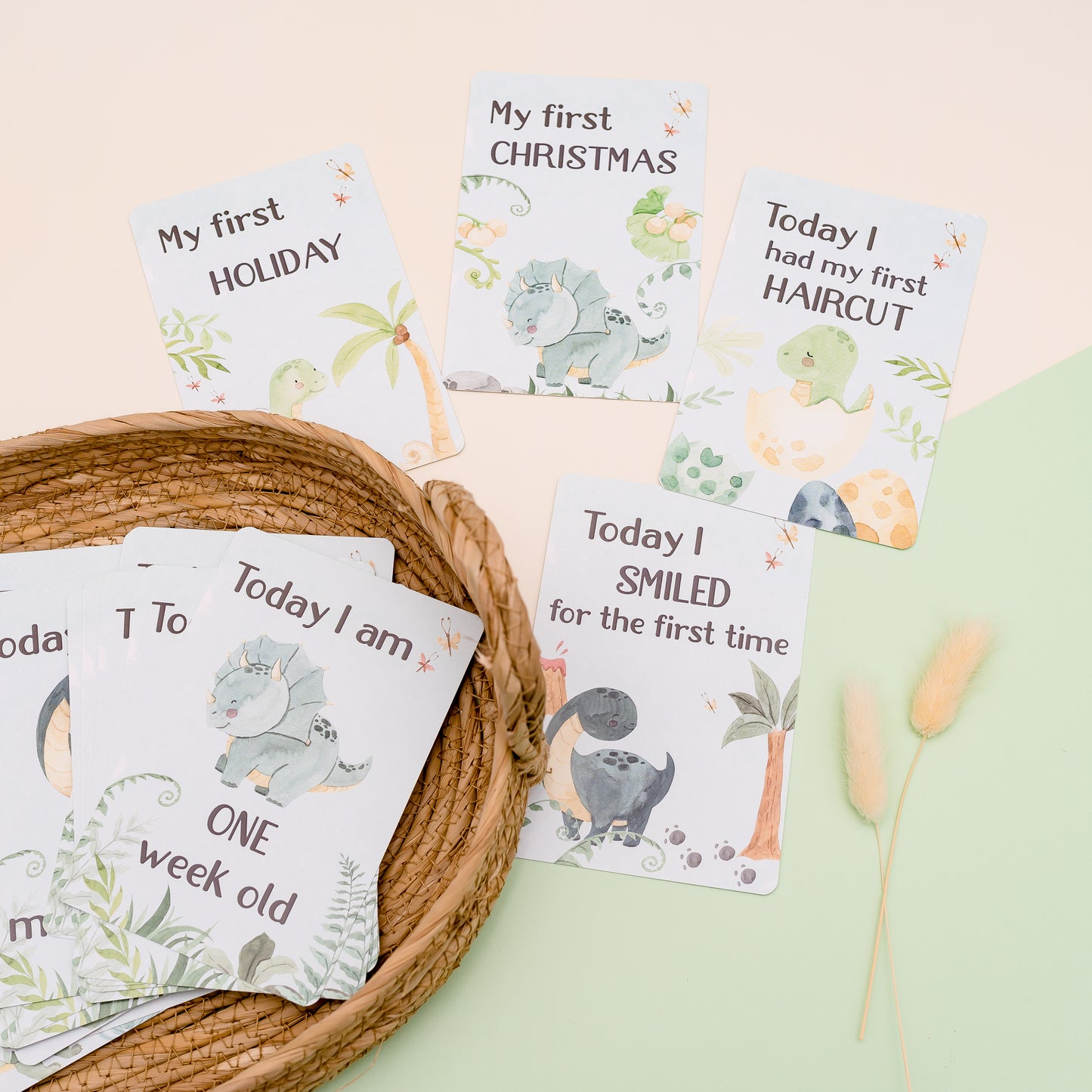 Milestone Cards - Dinosaur Miss Ali's