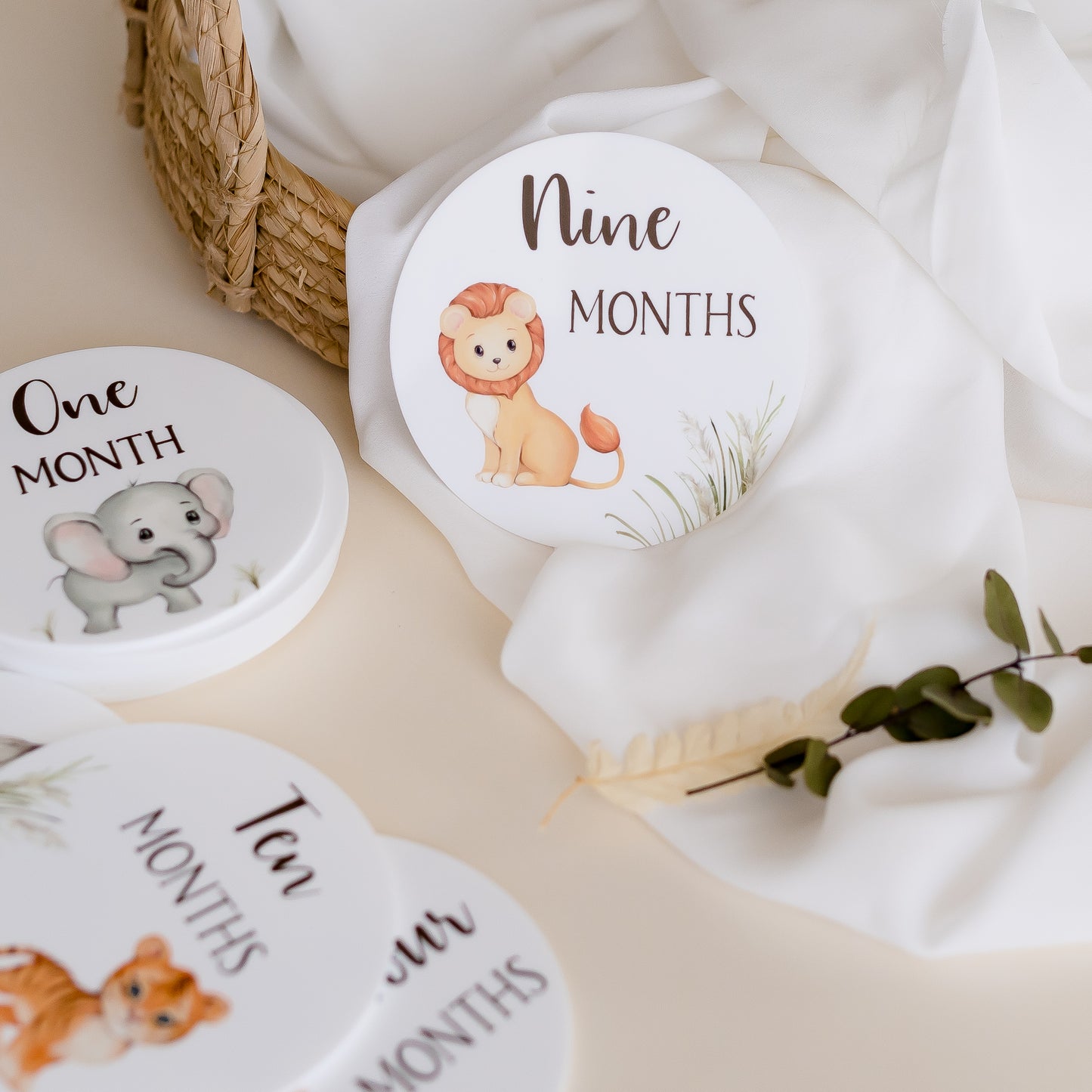 Baby Milestone Discs - Baby Animals Miss Ali's