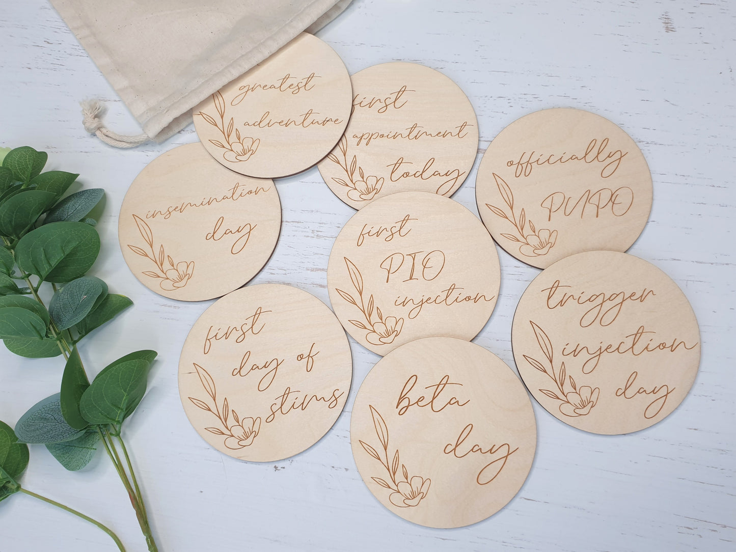 IUI Milestone Wooden Discs Miss Ali's