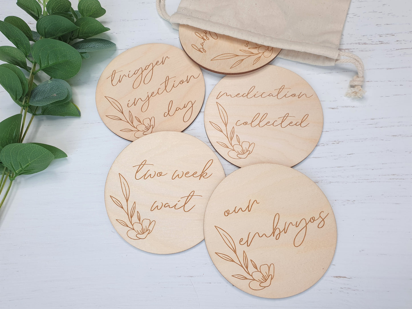 IVF Milestone Wooden Discs Miss Ali's