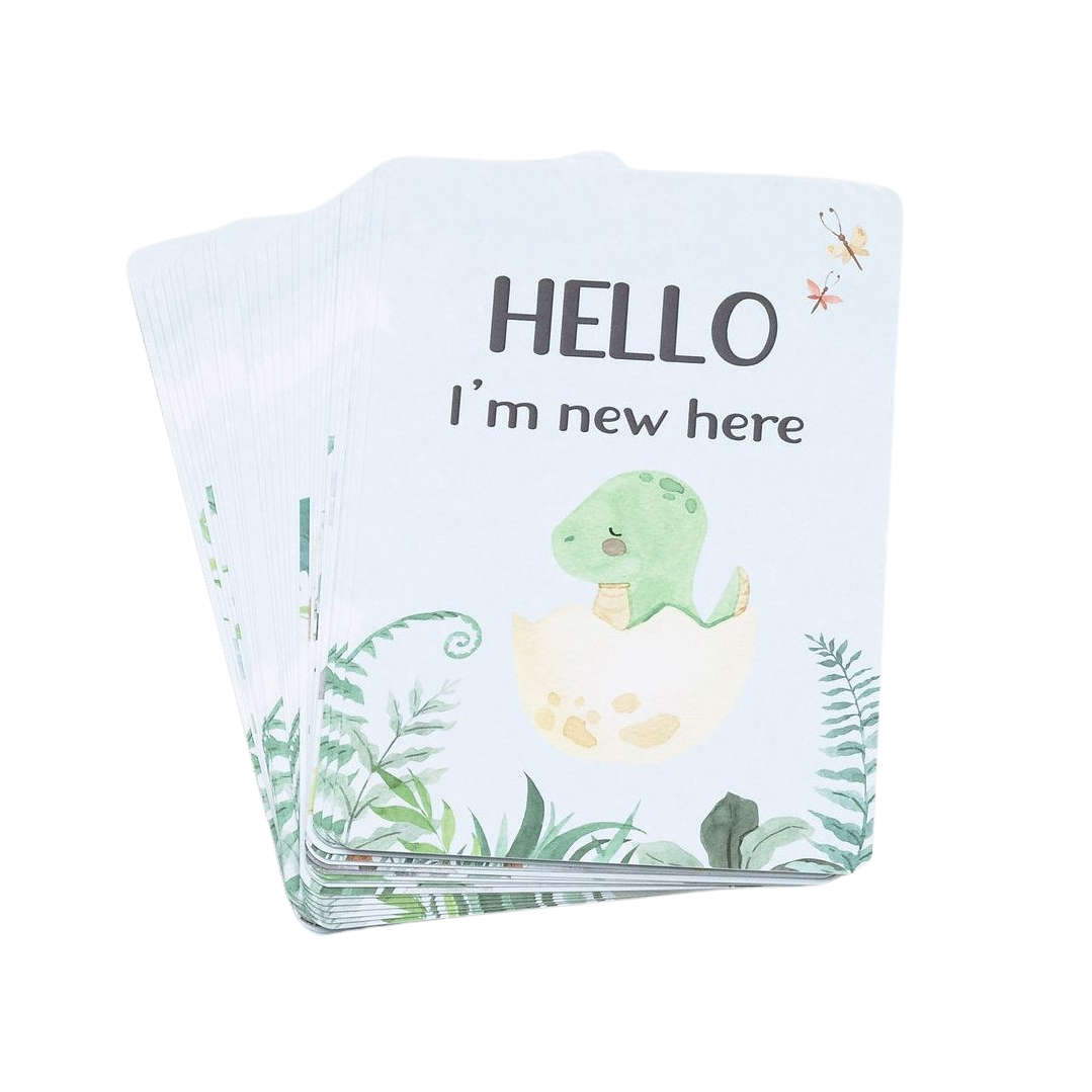 Milestone Cards - Dinosaur Miss Ali's
