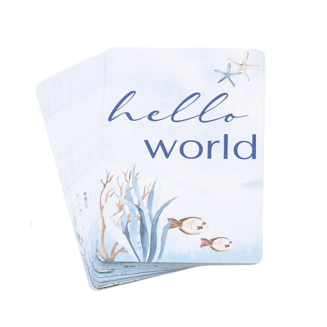 Milestone Cards - Ocean Miss Ali's