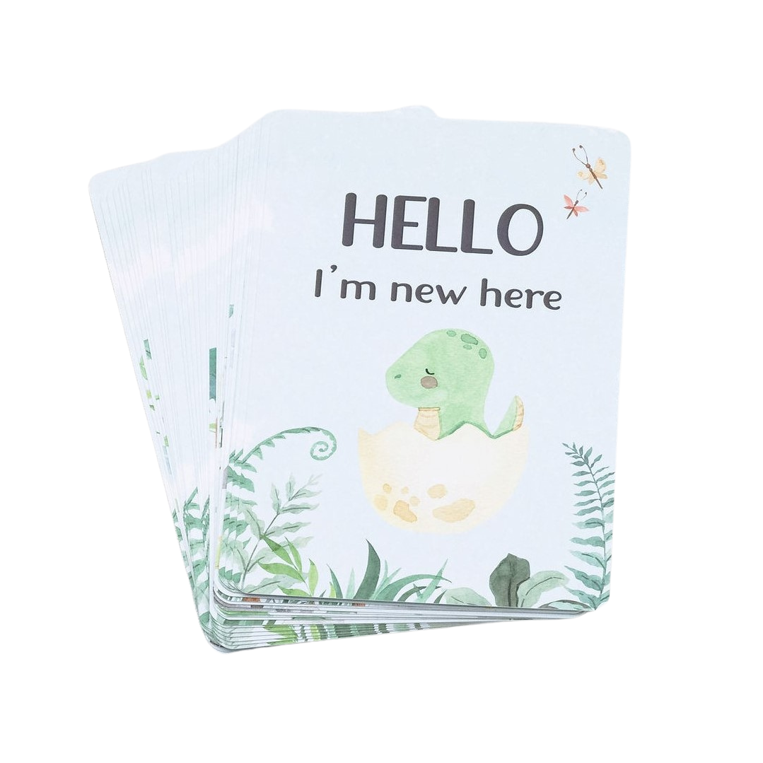 Milestone Cards - Dinosaur  Miss Ali's   